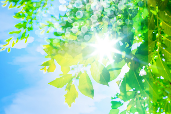 青島鈴誠粧器有限公司 環(huán)境サステナビリティ 環(huán)境 CO2削減