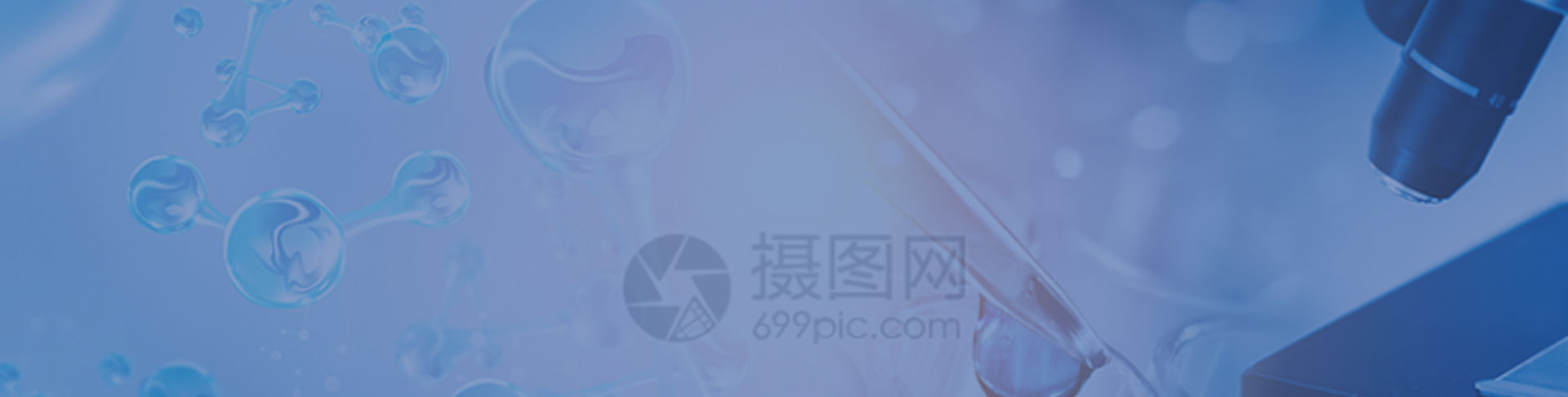 描述